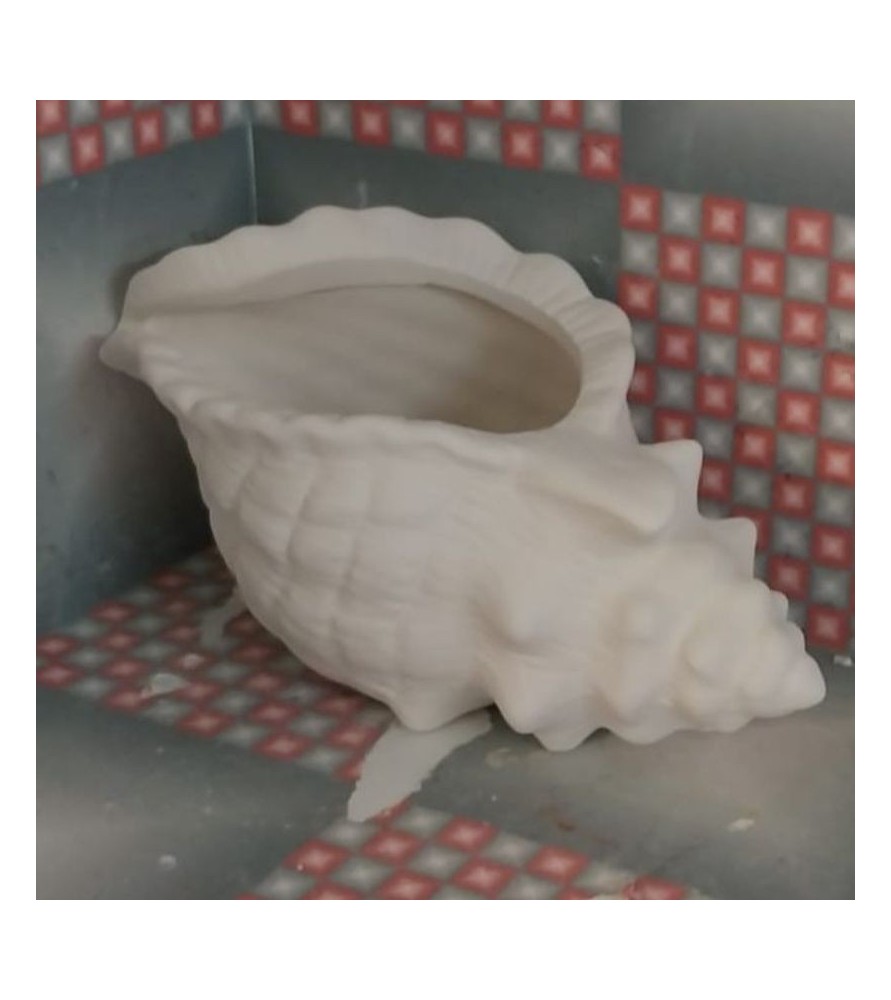 Conch Shell Planter