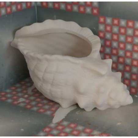 Conch Shell Planter