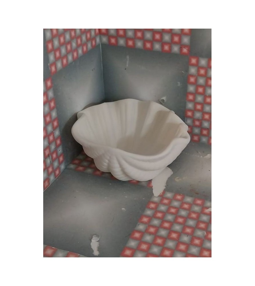 Giant Clam Shell Dish