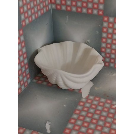Giant Clam Shell Dish